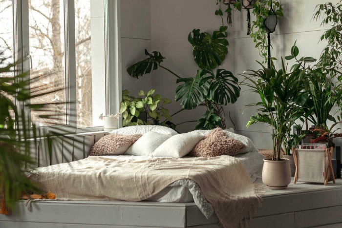 Chambre cosy et lumineuse avec plantes d'intérieur, design Biophilia.