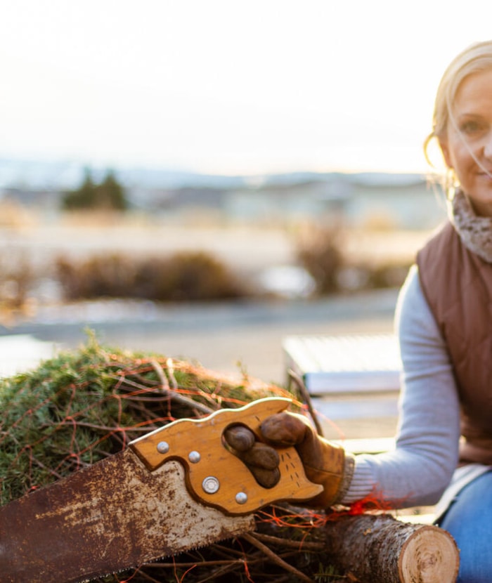 iStock-1293259985 entretien des arbres de Noël femme coupant le tronc de l'arbre