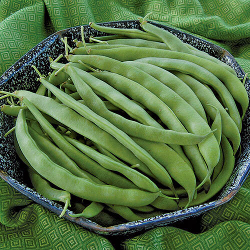 panier rempli de cosses de haricots