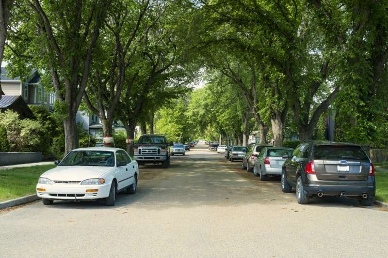 vue plongeante sur une rue résidentielle avec des voitures garées sous des arbres ombragés