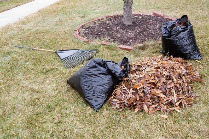 Enlèvement de feuilles près de chez moi