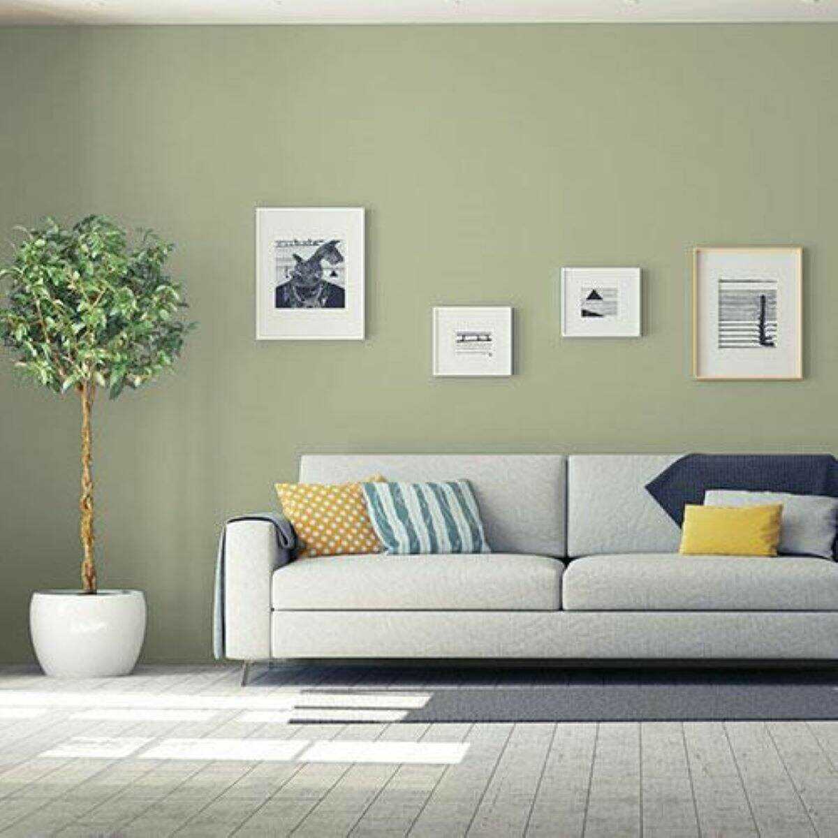 Combinaisons de couleurs pour les murs et les bordures - olive wall color