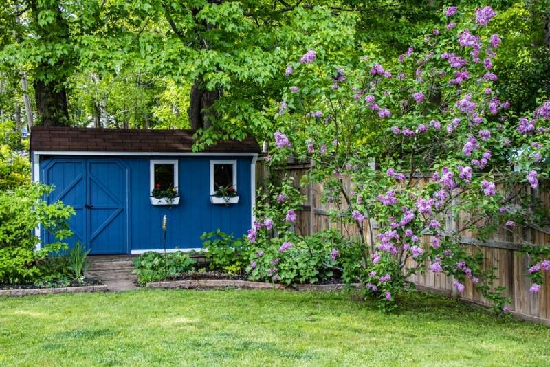 Un hangar bleu dans une zone ombragée d'une cour avec un arbre en fleurs au premier plan.