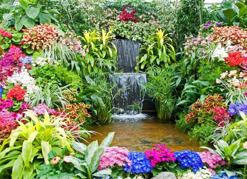 9 idées de cascades d'étang relaxantes pour votre jardin