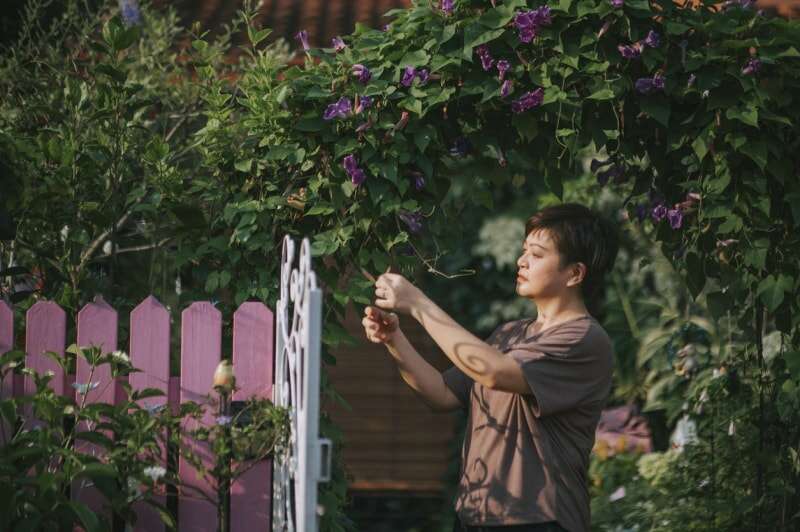 iStock-1351968754 morning glory care Femme asiatique d'âge moyen jardinant devant sa maison à la lumière du soleil du matin