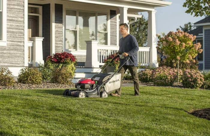 Une personne utilise la meilleure tondeuse mulching pour tondre l'herbe d'une grande cour.