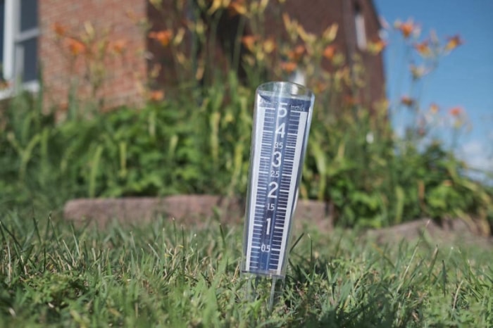 Gros plan d'un pluviomètre dans une parcelle d'herbe