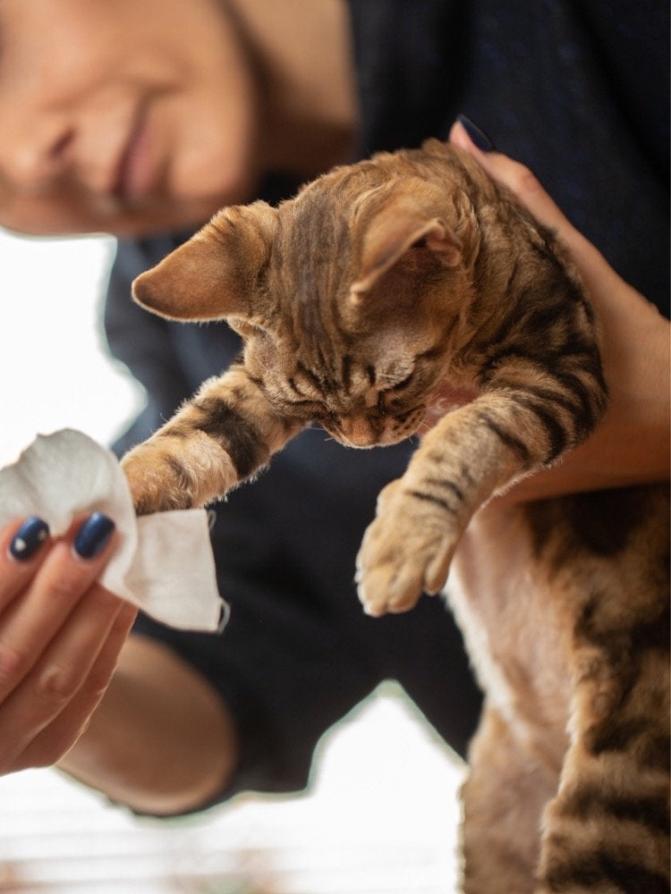 12 façons de propager accidentellement des germes dans votre maison