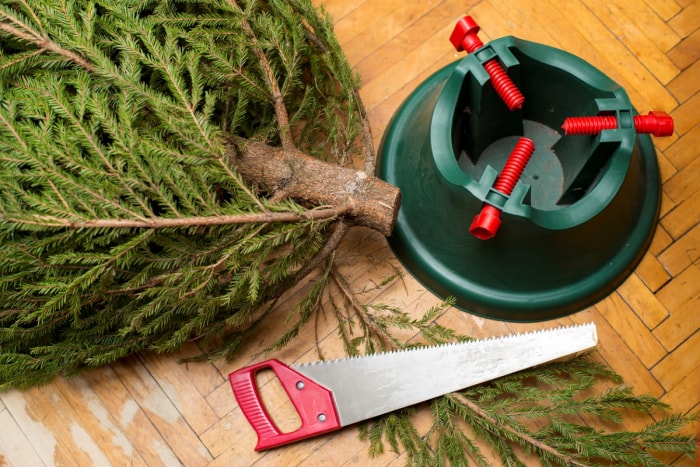 Combien de temps dure un arbre de Noël - Scie à pied d'arbre de Noël