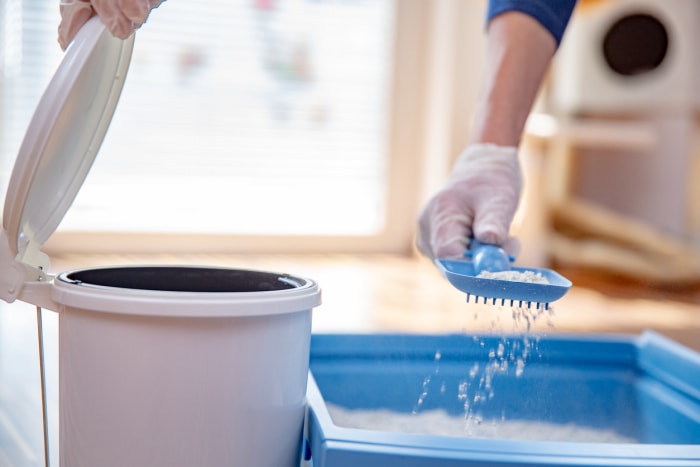 iStock-1218969224 gants de travail pour nettoyer la litière