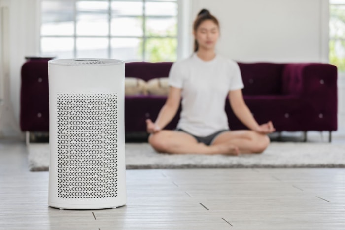 Combien coûte un purificateur d'air pour toute la maison