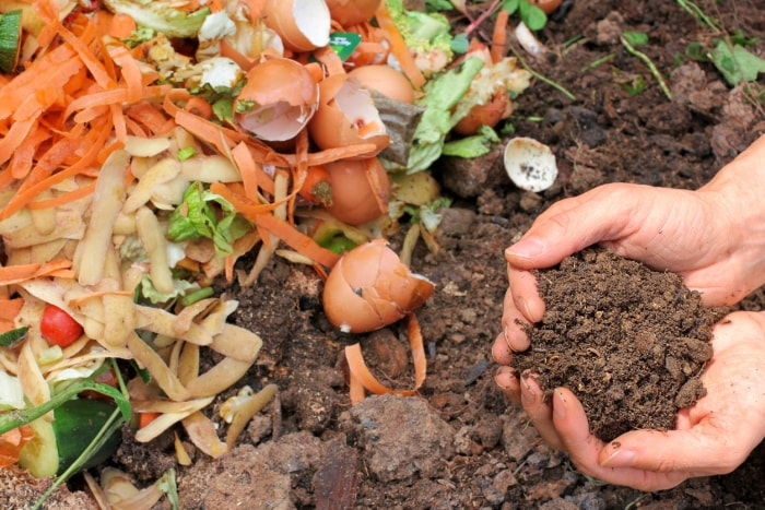 10 tâches de jardinage de saison que vous devriez faire chaque semaine