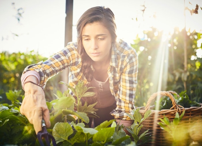 8 choses importantes que votre jardin essaie de vous dire