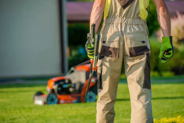 Questions à poser sur le service de tonte de pelouse près de chez moi