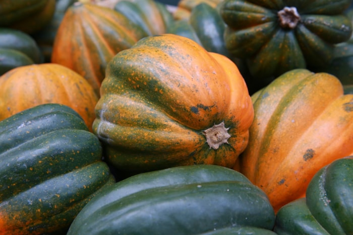 types de courges