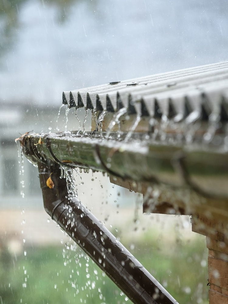 Oui, vous pouvez réutiliser l'eau à la maison - voici comment