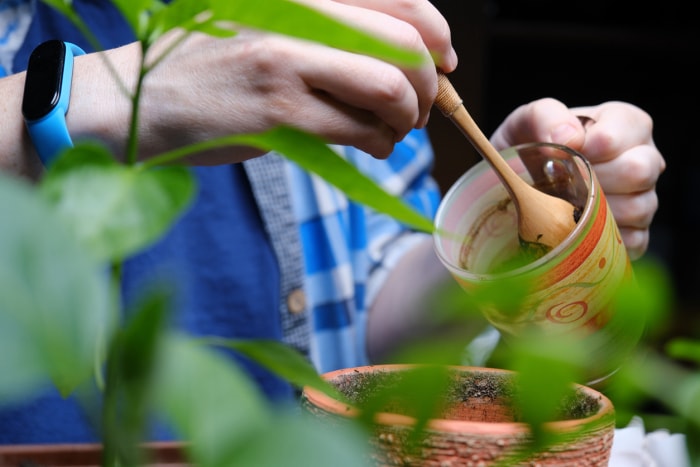 Une personne gratte le marc de café usagé d'une tasse près des plantes.