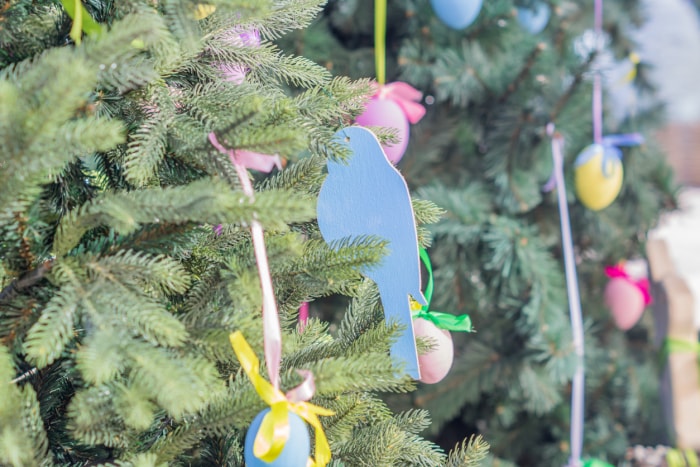 Des œufs de Pâques et des décorations d'oiseaux sont suspendus à un sapin.