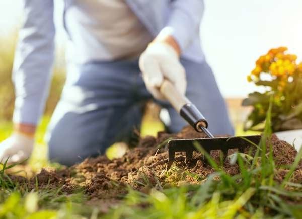 Gros plan d'une femme qui jardine