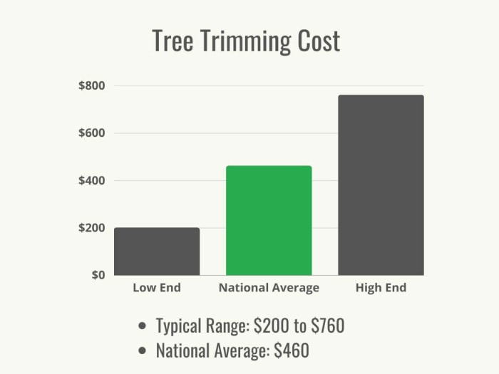 Un graphique noir et vert montrant le coût moyen et la fourchette de prix pour l’élagage des arbres. 