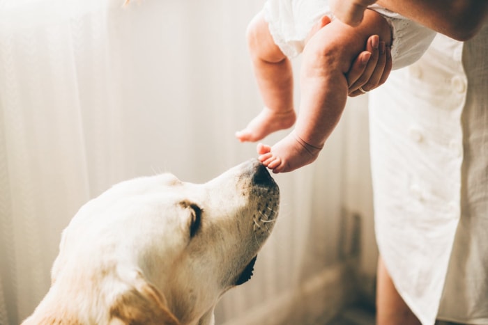 Vous attendez un bébé ? 11 rénovations à faire avant l'arrivée de bébé