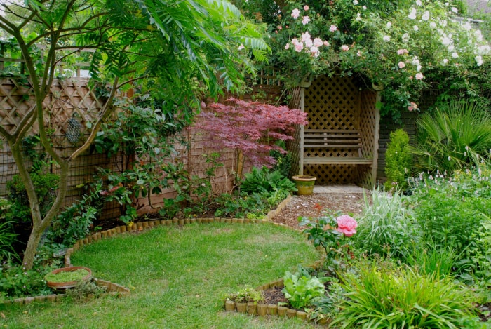 Banc de jardin isolé niché dans un aménagement paysager luxuriant.