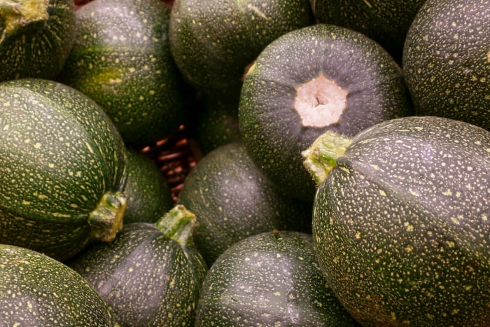 types de courges