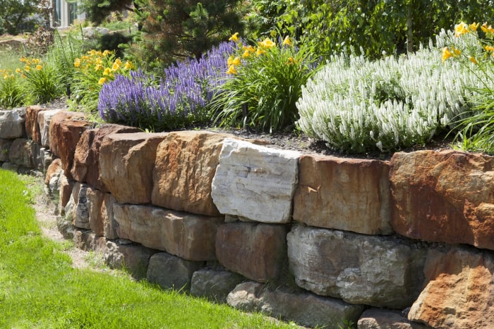 Un mur de soutènement en pierre naturelle qui sert également de parterre pour les plantes ornementales.