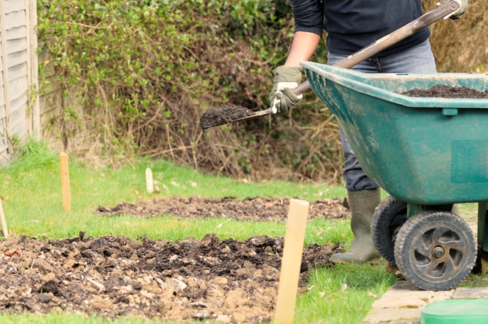 Homme ajoutant du fumier à son jardin