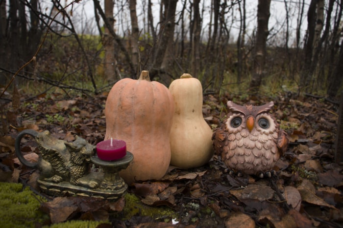 huile de leurre avec des courges à l'extérieur dans la forêt