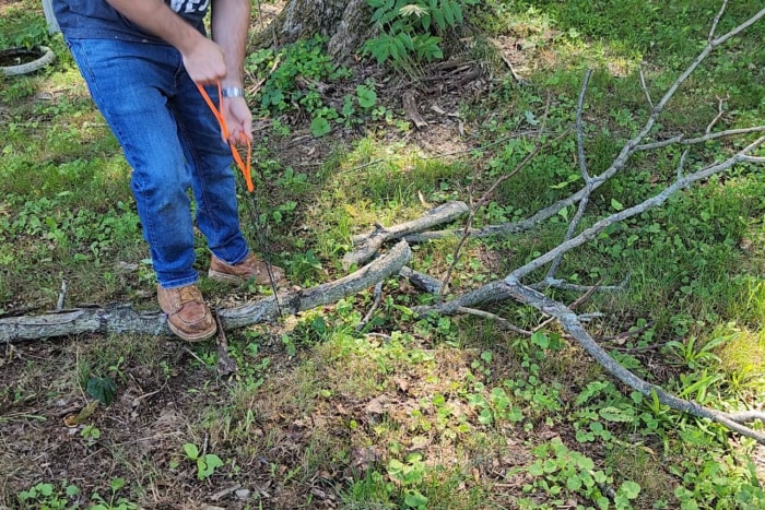 Une personne utilisant la meilleure option de tronçonneuse de poche pour couper une branche d'arbre en deux