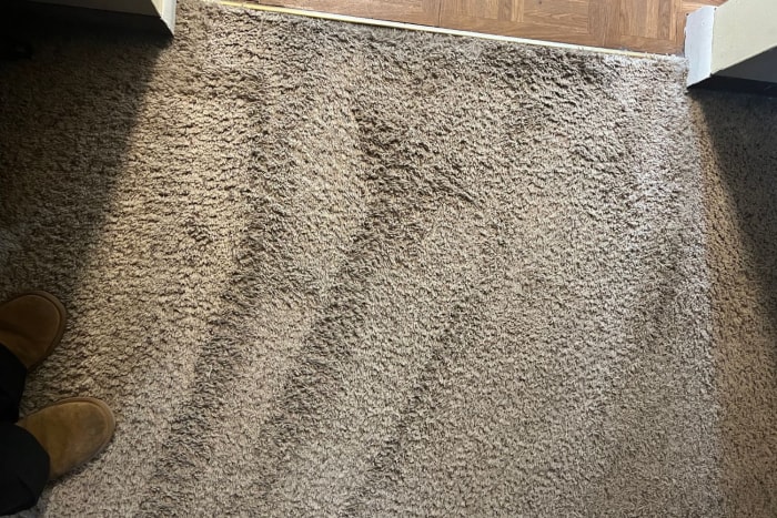 Tapis bronzé qui vient d'être nettoyé avec le nettoyeur de tapis Bissell