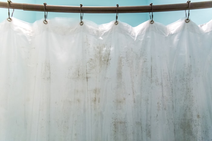 Moisissure brun foncé sur un rideau de douche intérieur en plastique dans une salle de bain bleu aqua clair