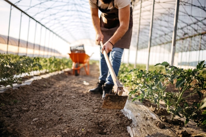 Personne utilisant une houe de jardin