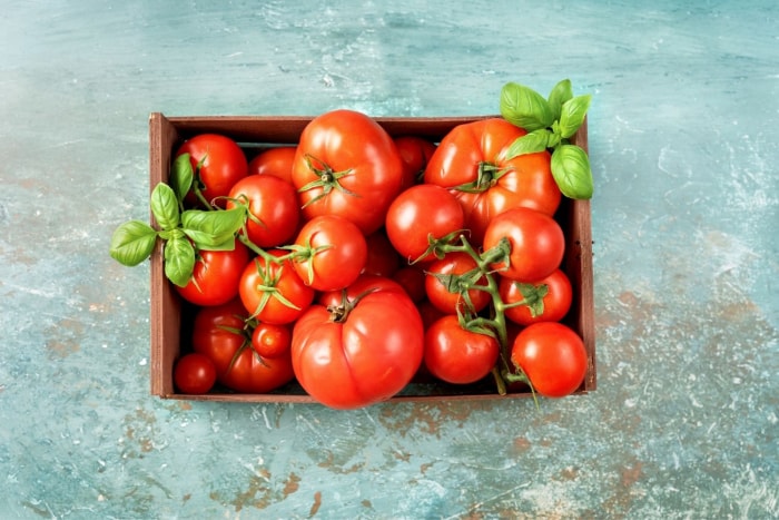 Comment conserver les tomates