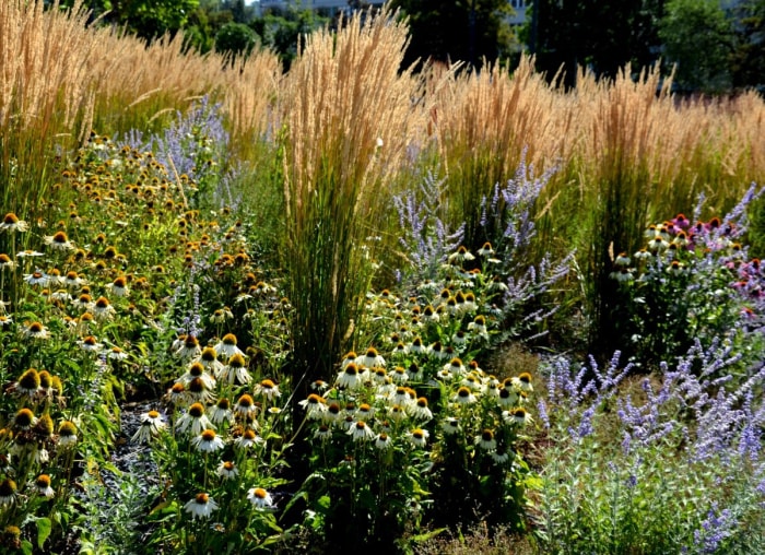 10 façons dont votre jardin peut lutter contre le changement climatique