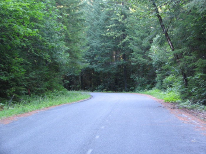 route à travers les bois à Tiller Oregon