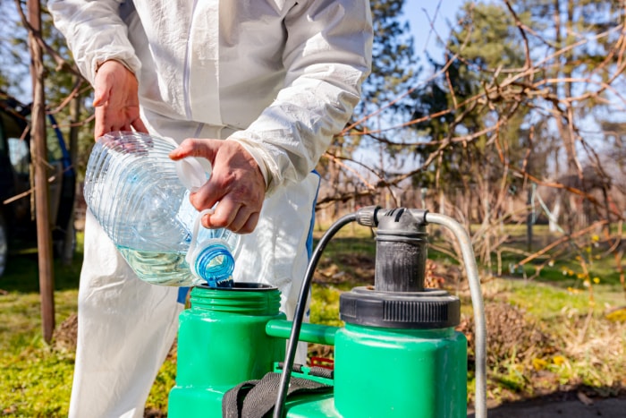 iStock-1441916660 conseils pour le jardinage biologique Le jardinier mélange la substance avec l'eau à la bonne échelle