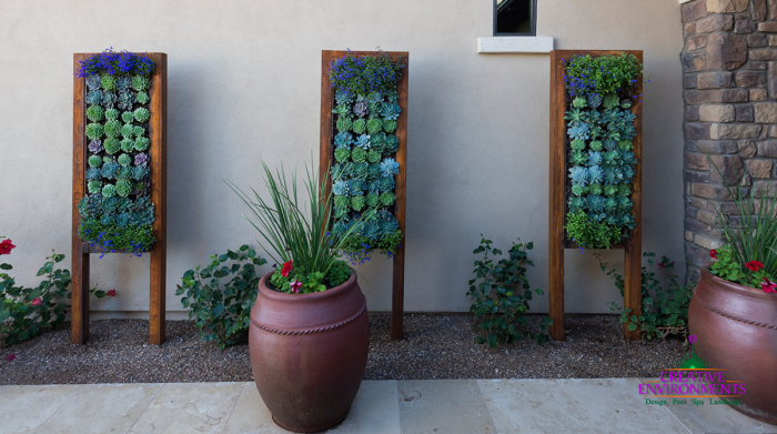 entrée extérieure avec des cadres de jardinières succulentes debout verticalement contre un mur extérieur