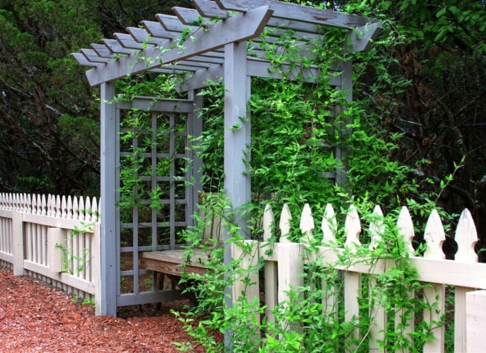 13 belles façons de décorer une pergola dans votre jardin