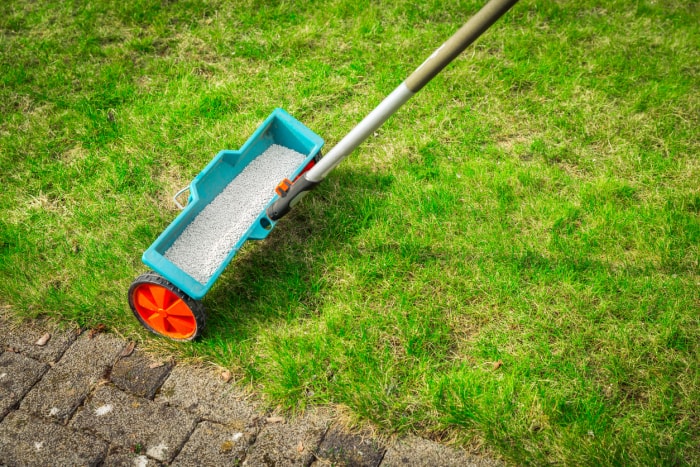 comment se débarrasser de la mousse dans la pelouse