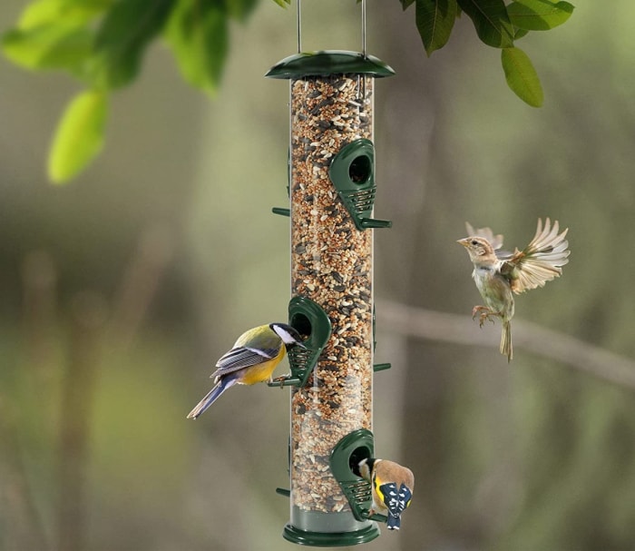 types de mangeoires pour oiseaux - mangeoire tubulaire pour oiseaux