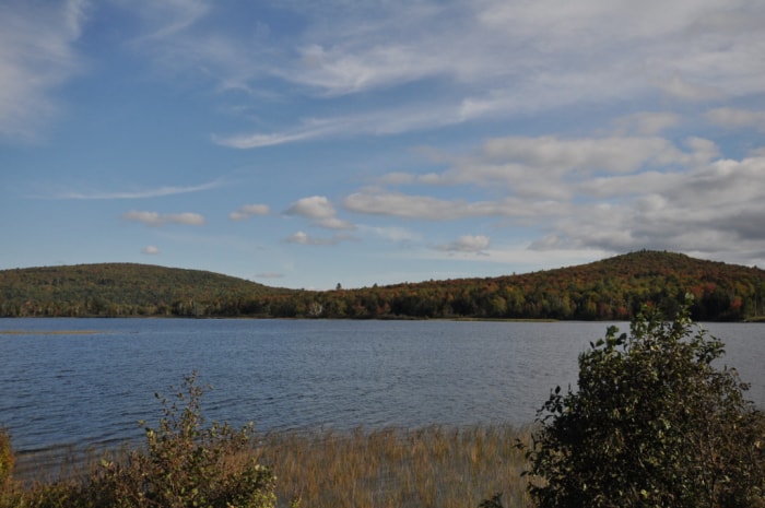 vue d'un lac entouré d'arbres