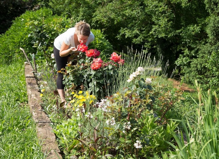 12 astuces peu connues pour réussir votre potager de cette année