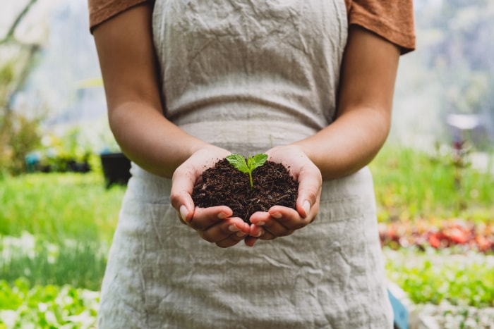 Quel genre de jardinier êtes-vous ?