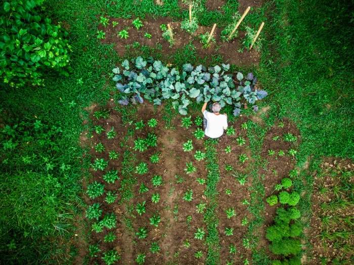 10 tâches de jardinage de saison que vous devriez faire chaque semaine