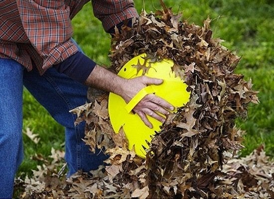 Choix de la rédaction : 7 outils pour lutter contre les feuilles mortes