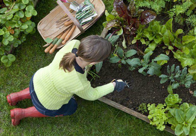 Résoudre les plus grands défis en matière d'entretien de jardin