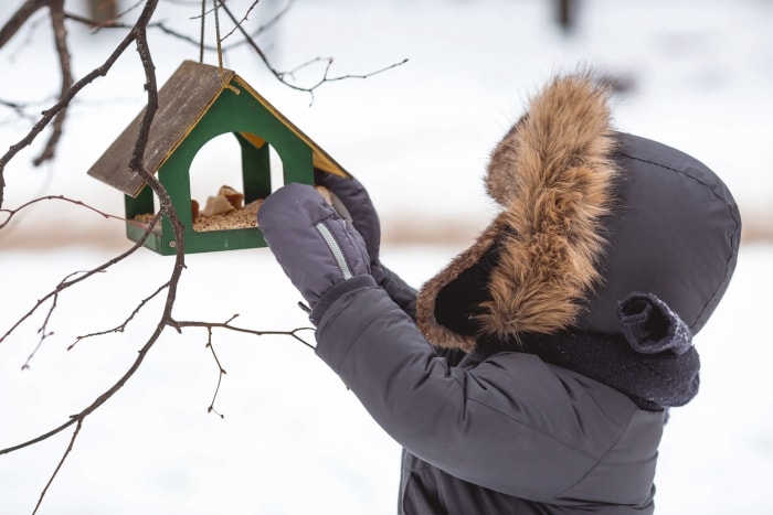 Une personne portant un manteau d'hiver et un chapeau en fourrure se prépare à nettoyer une mangeoire à oiseaux verte dans une cour enneigée.