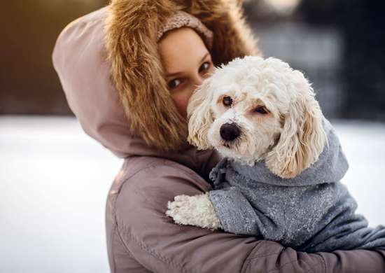 Une femme tenant un petit chien blanc, tous deux portant des manteaux d'hiver